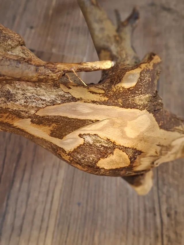 Lampara de madera artesanal